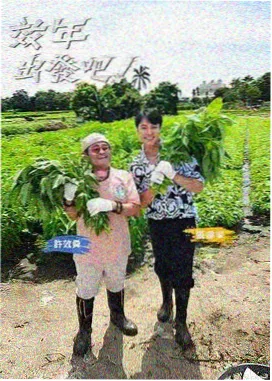 美食大冒险